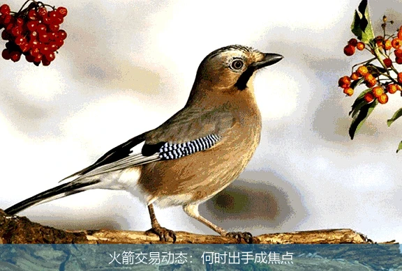 火箭交易动态：何时出手成焦点