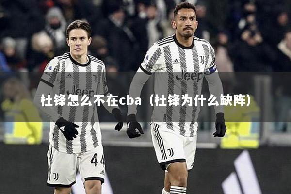 杜锋怎么不在cba（杜锋为什么缺阵）