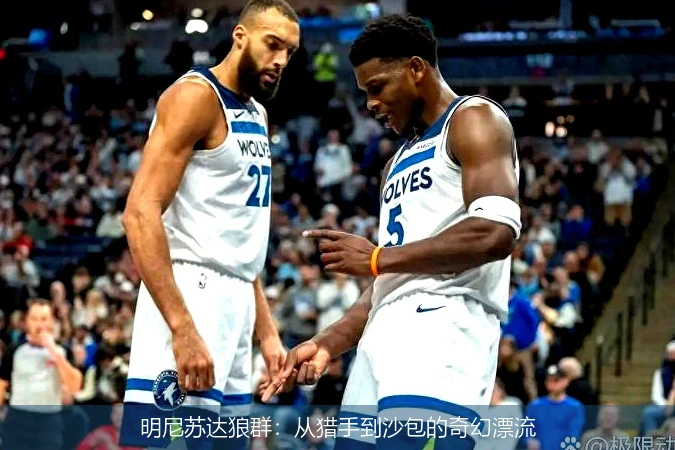 明尼苏达狼群:从猎手到沙包的奇幻漂流
