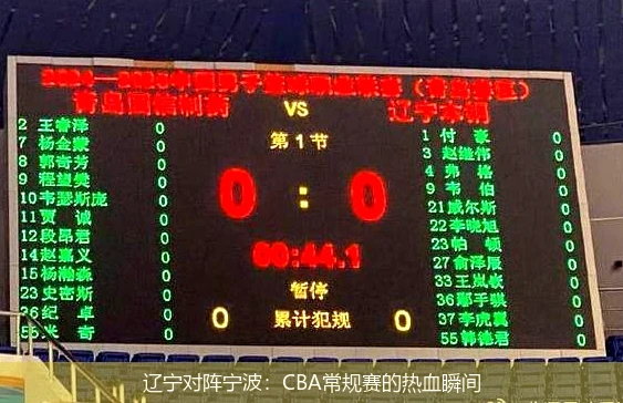 辽宁对阵宁波：CBA常规赛的热血瞬间