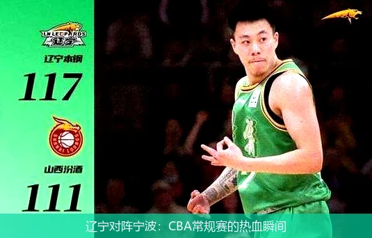 辽宁对阵宁波:CBA常规赛的热血瞬间