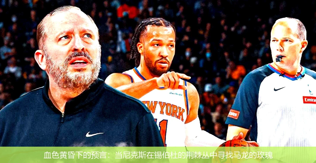 血色黄昏下的预言:当尼克斯在锡伯杜的荆棘丛中寻找马龙的玫瑰