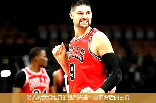 湖人对武切维奇的强烈兴趣:交易背后的玄机