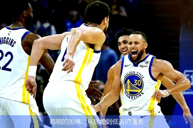 鹈鹕的困境：从辉煌到低谷的落差